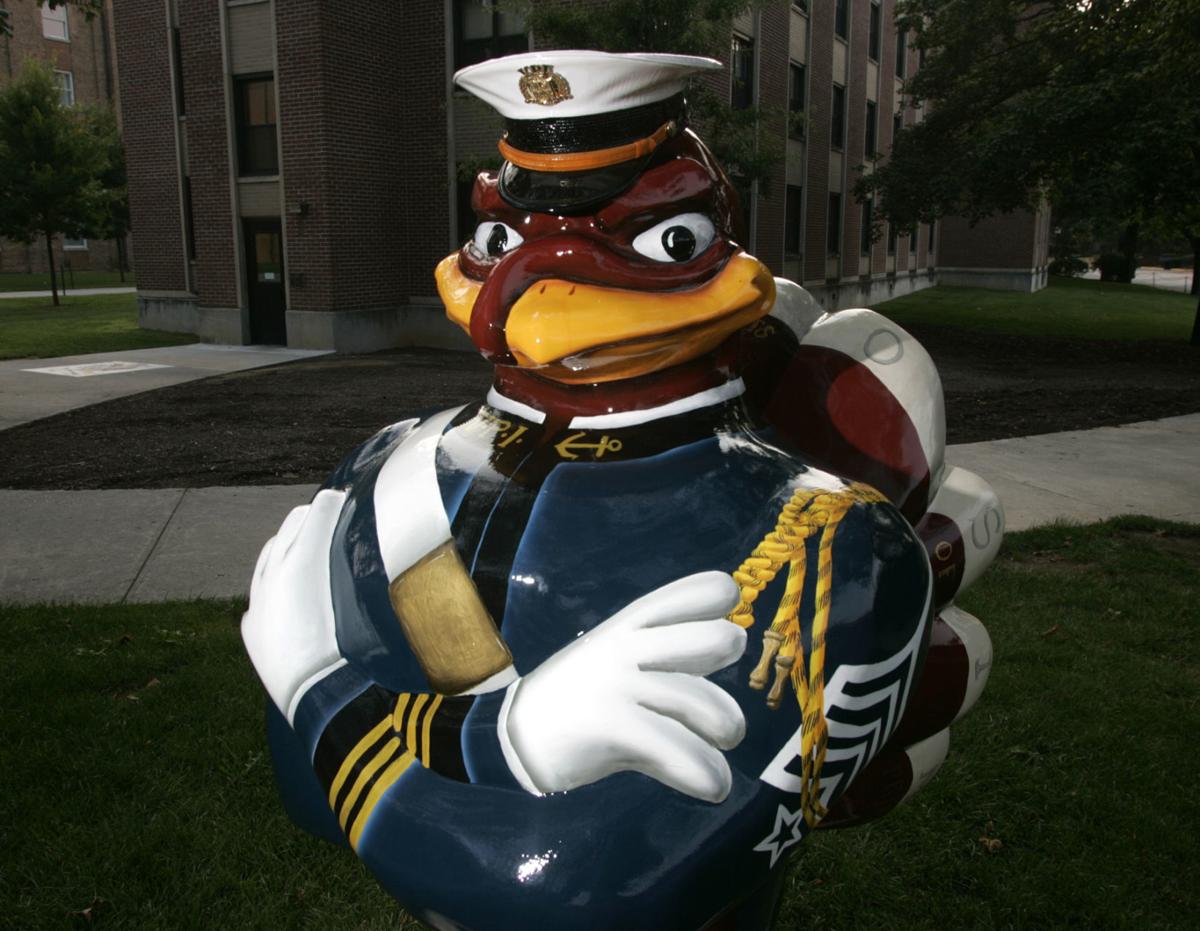 Photos Blacksburg's flock of Hokie Birds Gallery