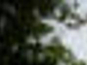 vinton plans to pull the plug on pool but k 9 is safe local news roanoke com