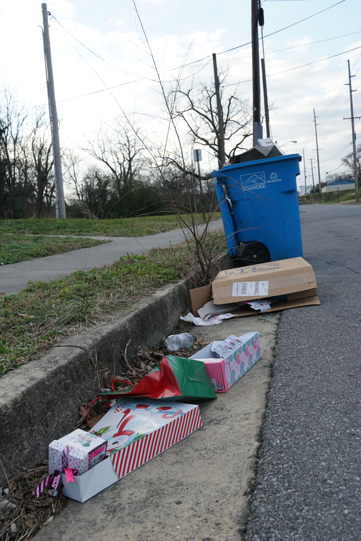 Holiday coda Trash and recycling adorns Roanoke Valley curbsides