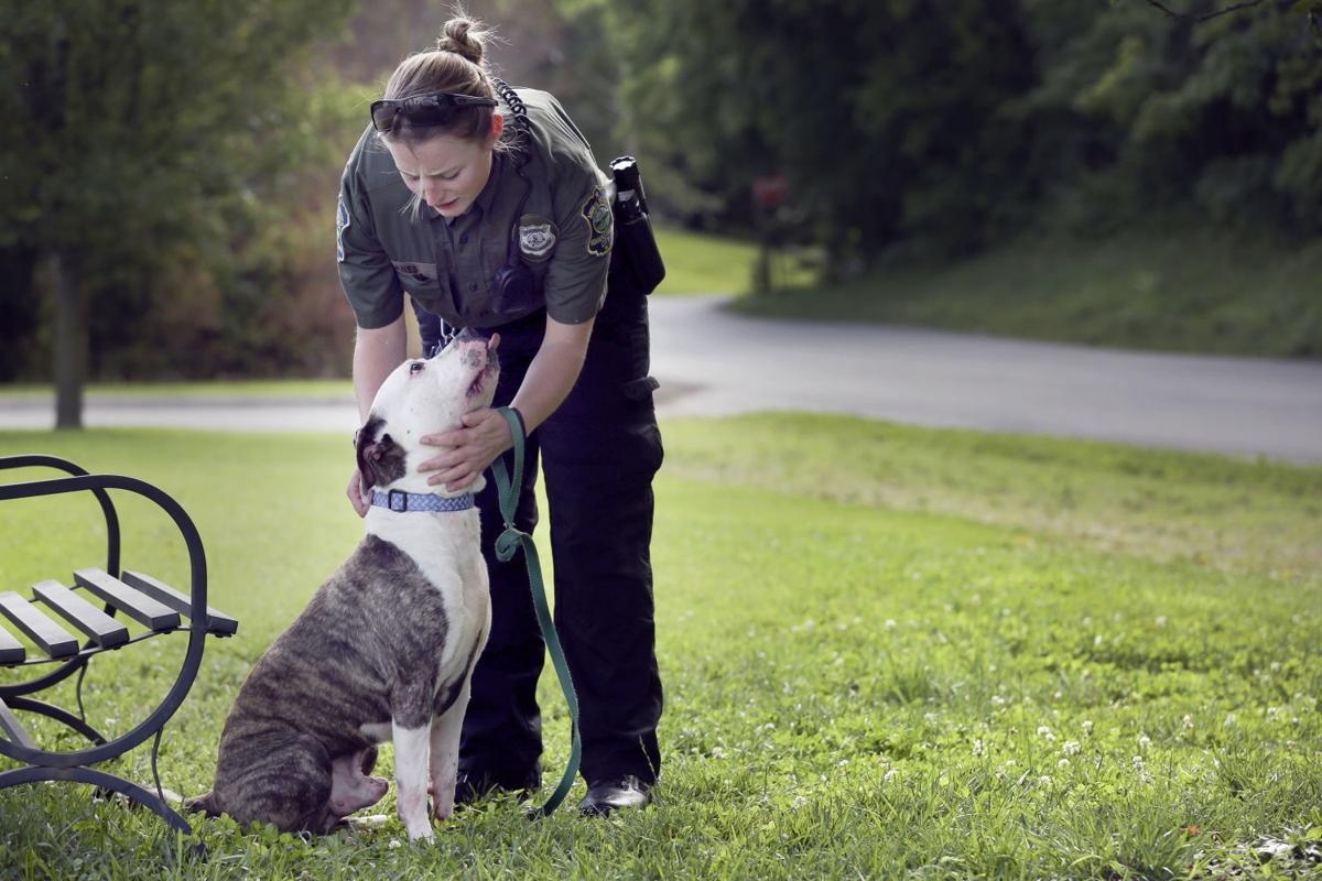 Fireworks plus scared dogs equals busy days at animal shelters Local