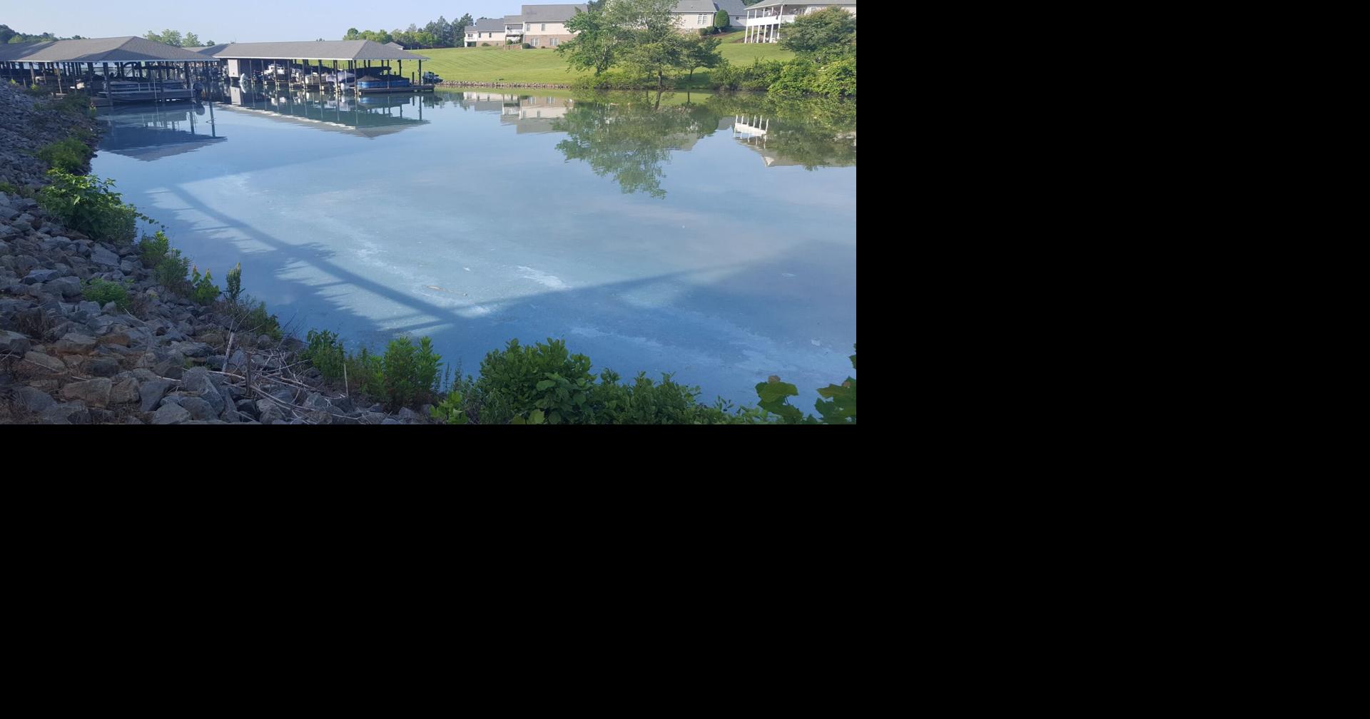State issues algae advisory of Smith Mountain Lake