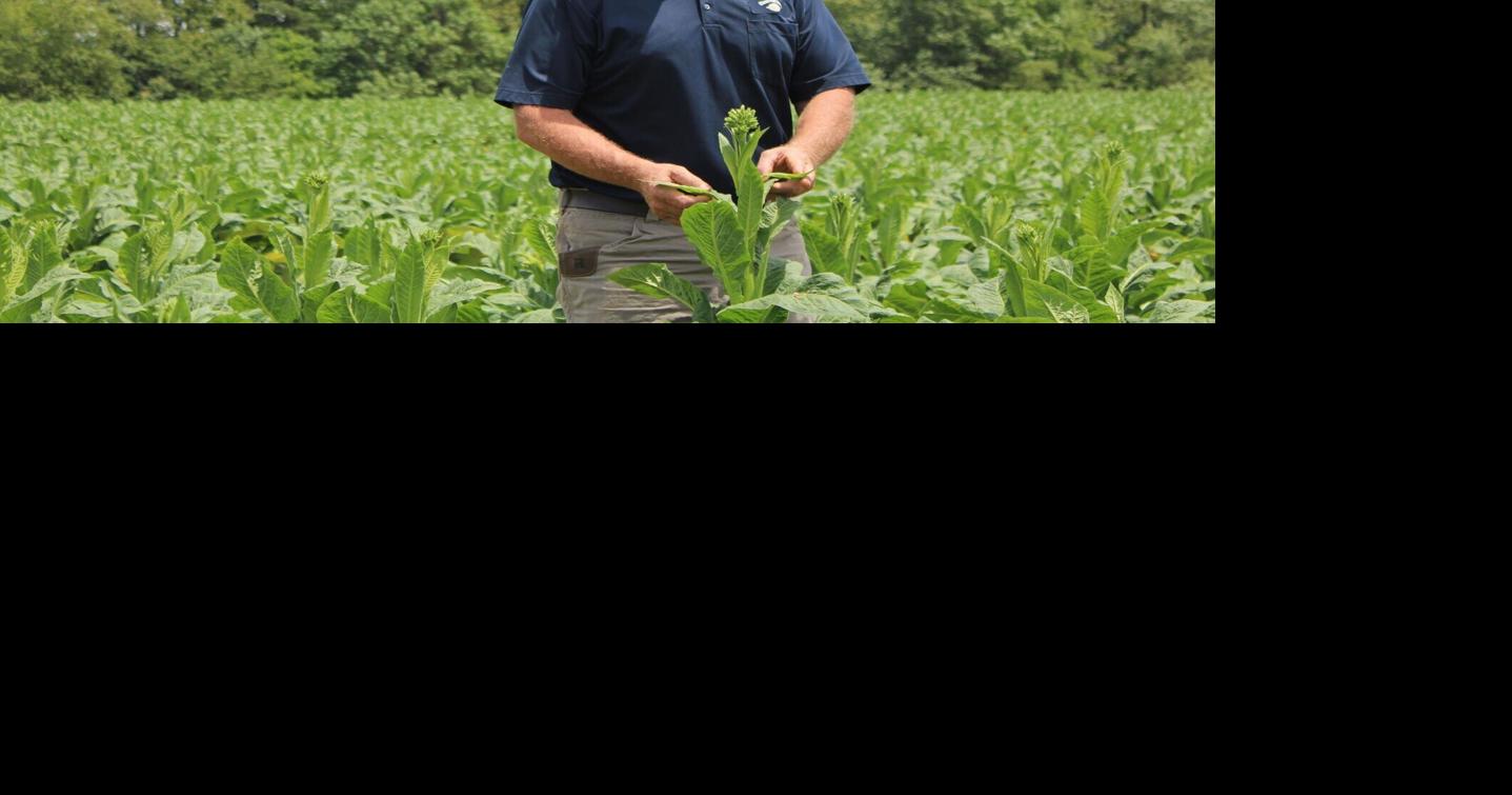'We’ve got a mess.' Drought only part of 'perfect storm' impacting Pittsylvania farmers
