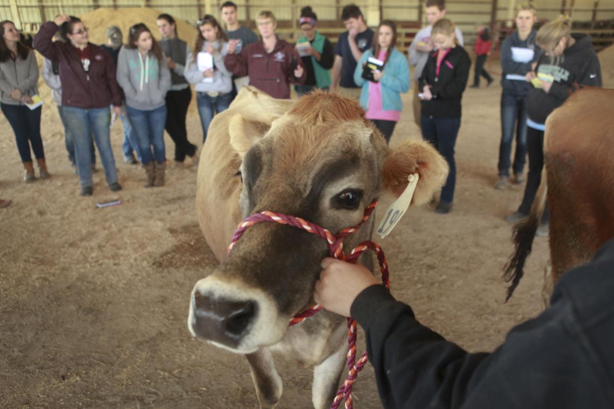 Tech team mooving toward another title? Education