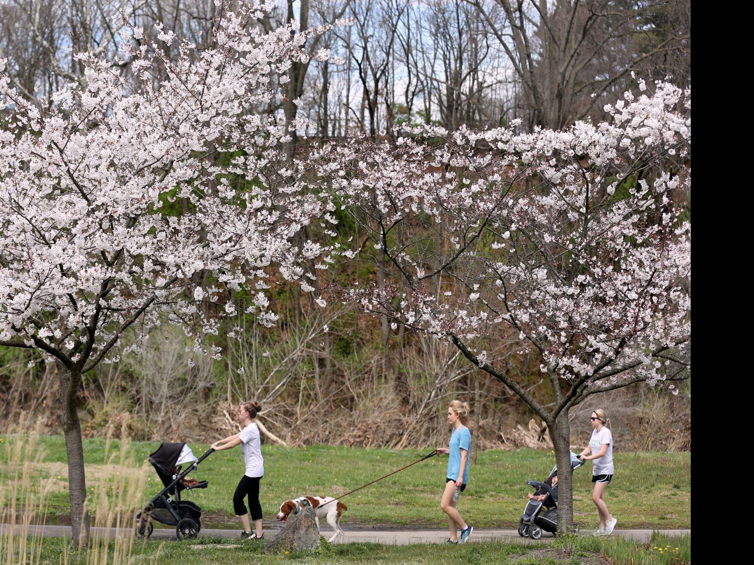 Roanoke To Close Major Greenways Due To Overcrowding Montgomery