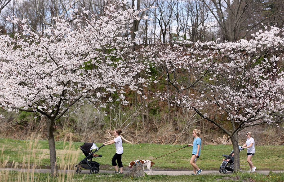 Roanoke To Close Major Greenways Due To Overcrowding Montgomery
