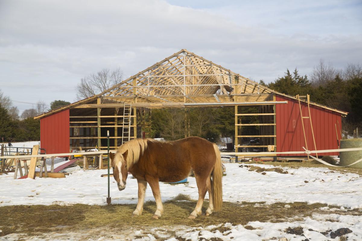 Whatever Happened To Equine Therapy Center Rebuilds Barn After