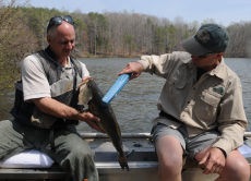 Biologists take big satisfaction from managing Virginia s little lakes