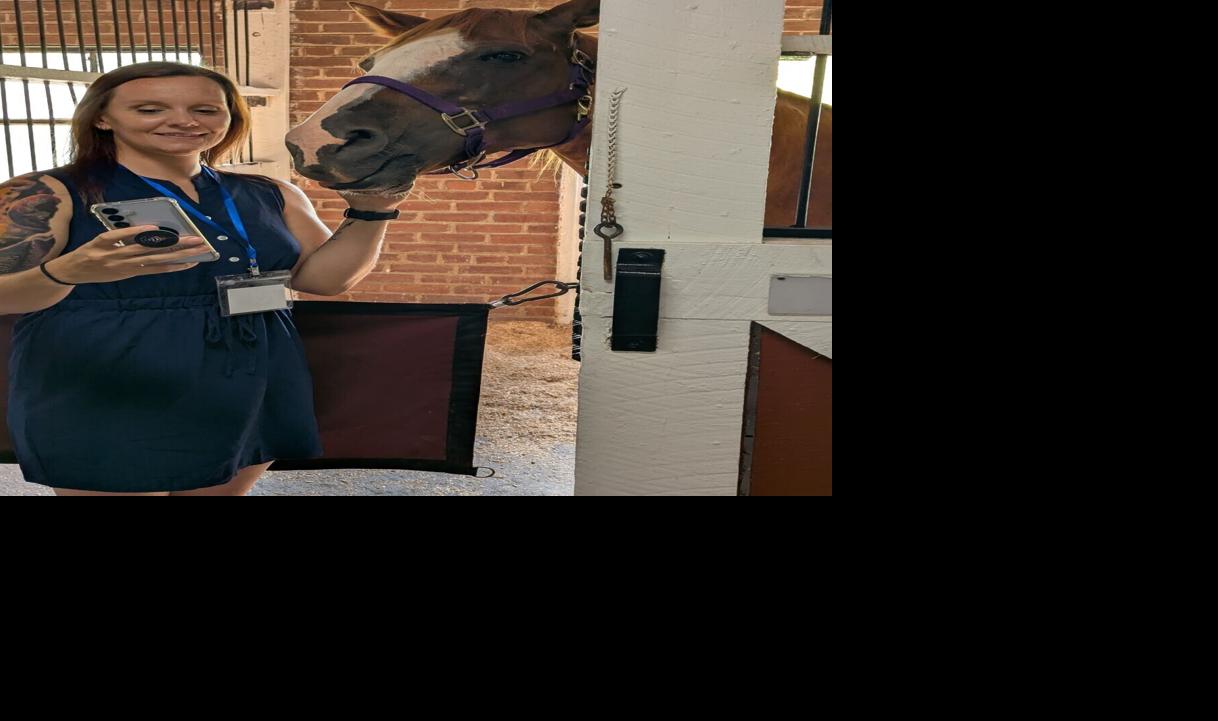 080125-rtd-met-horses