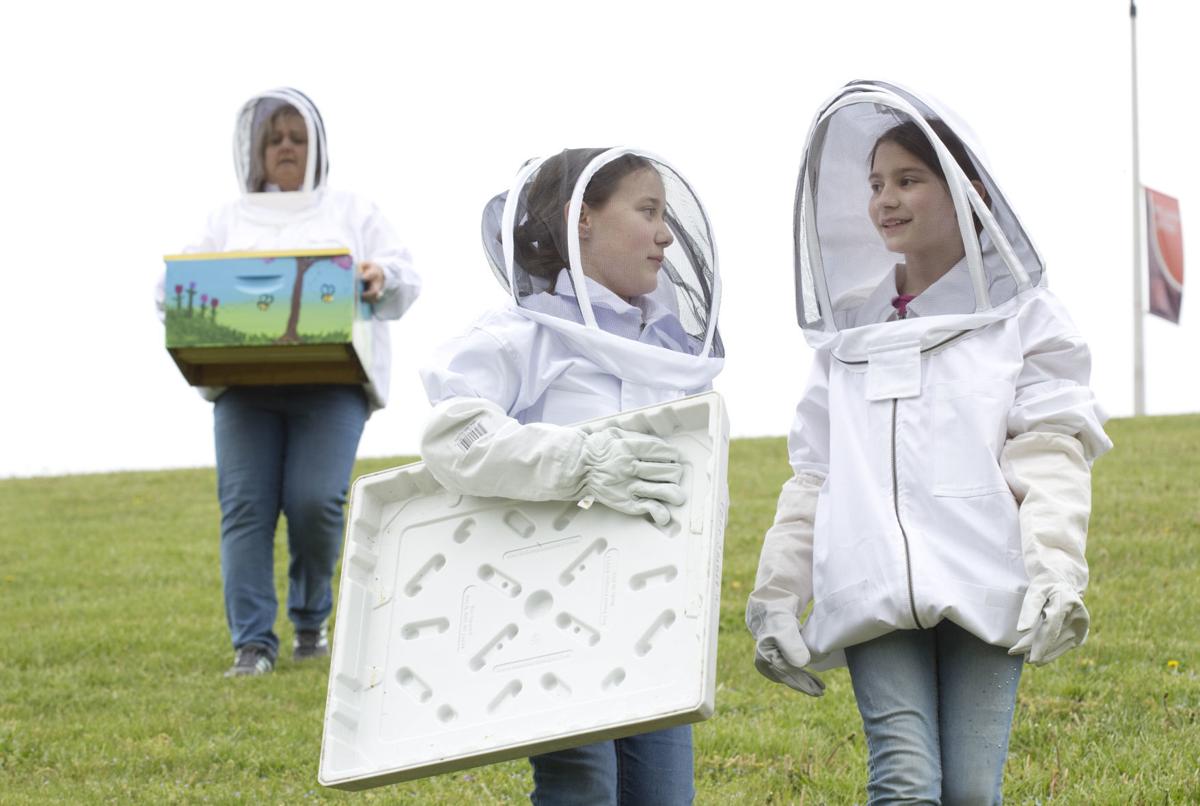 hr bees 042518 p06