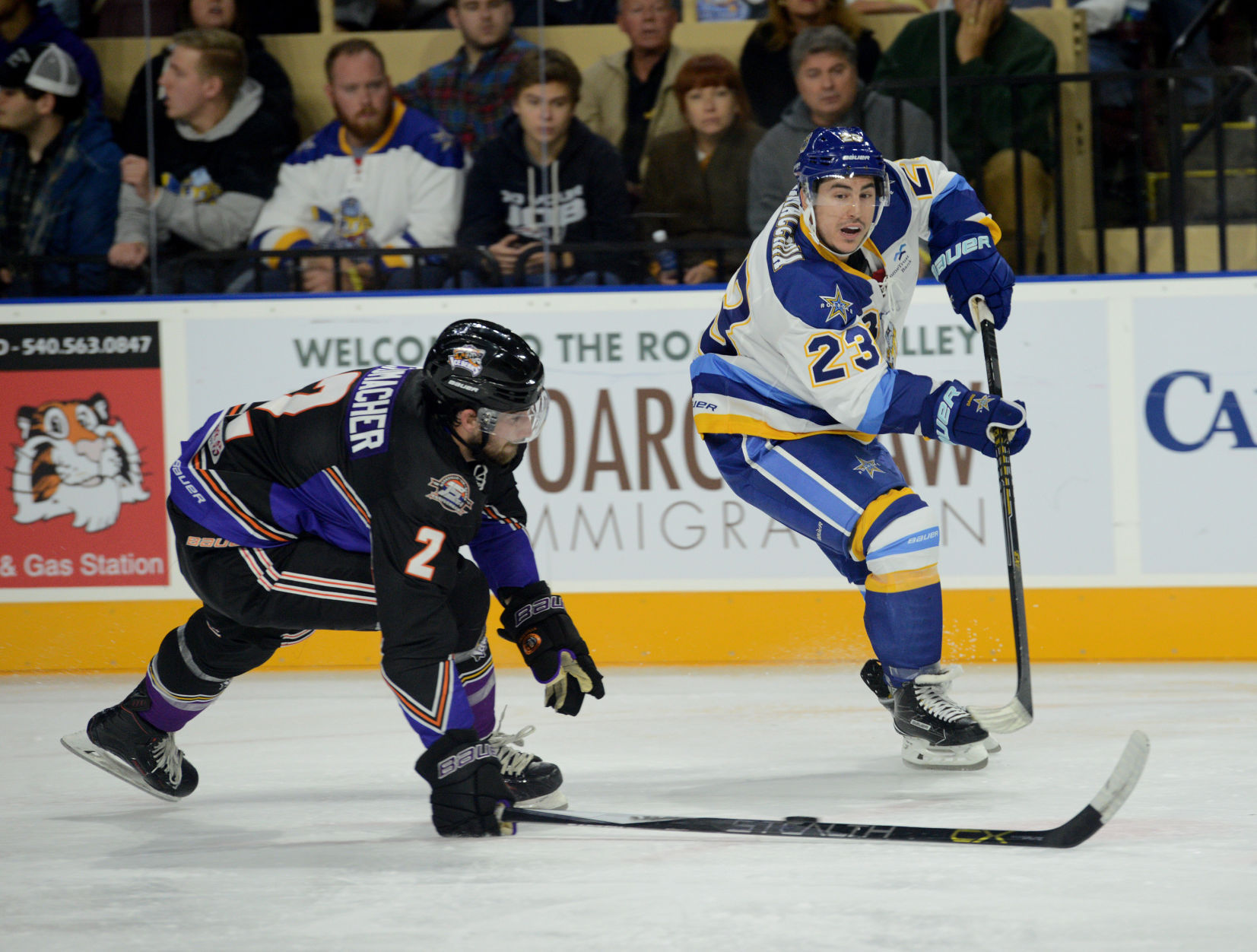 Roanoke Rail Yard Dawgs Debut | Gallery | Roanoke.com