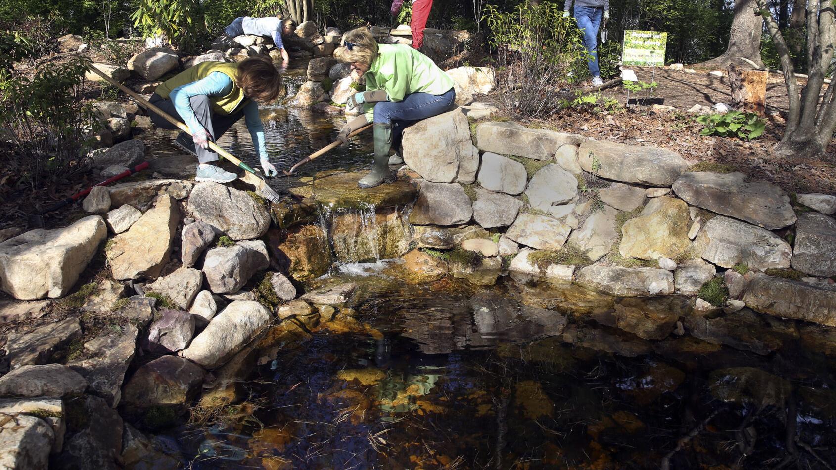 Rejuvenated Wildflower Garden is awash in native blooms - Vimarsana News