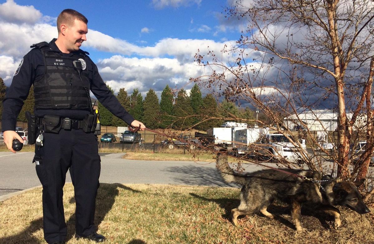 Whatever Happened To Throw Away Dogs Project gives canines new lives