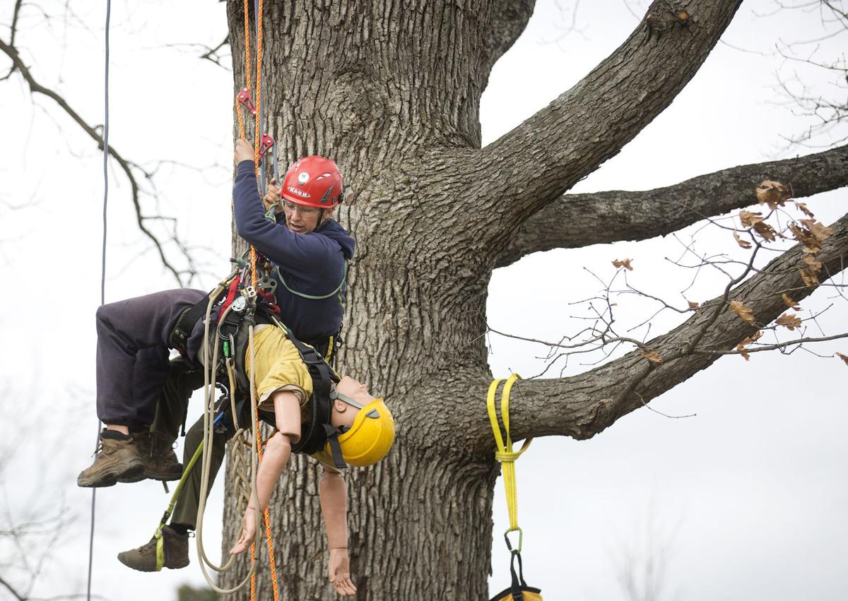 Professional tree climbers show off speed and safety at Blacksburg  competition