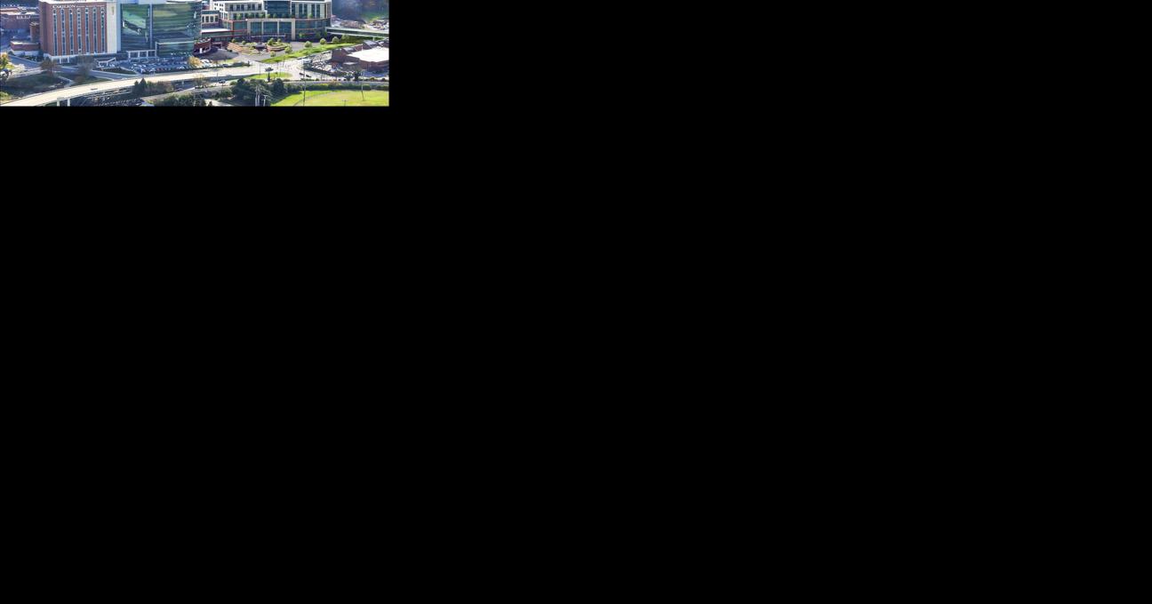 Carilion postpones major new mental health care facility - Vimarsana News