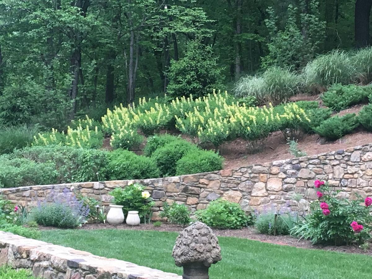 Roanoke Garden Tour resumes with an eye on the outdoors