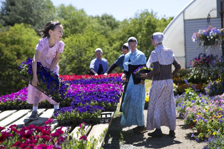 Produce auction gives Franklin County agriculture a boost