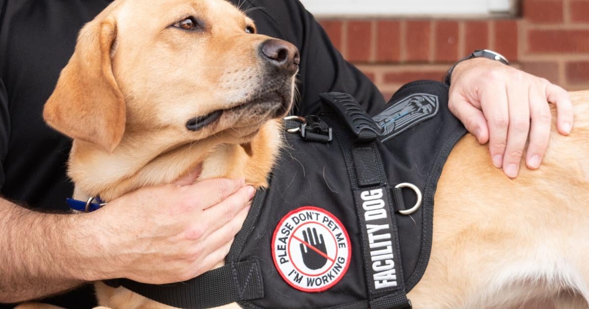 Roanoke nonprofit law enforcement chaplaincy gets first service dog