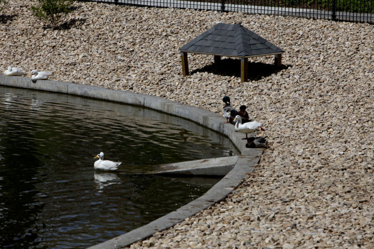 Salem's Lake Spring Park reopens Salem VA News