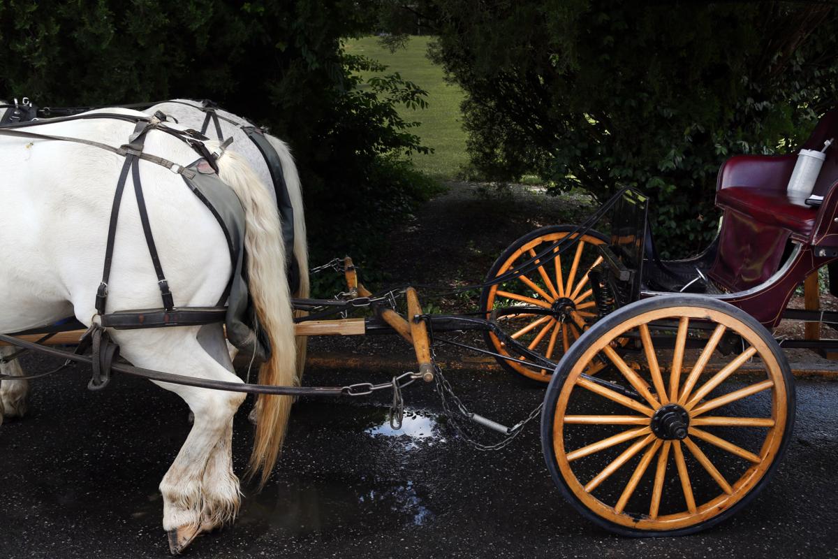 Lexington Carriage Company charters horsedrawn rides through historic