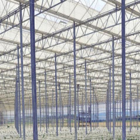 Pulaski County S Red Sun Farms Continues To Produce Amid Pandemic