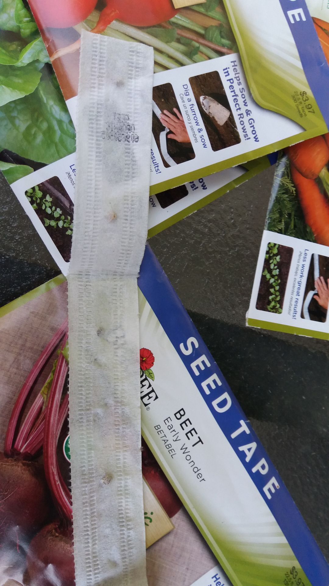 Fanatical Botanical Plant your fall garden with seed tape Archive