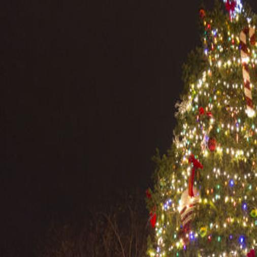 Salem Va Christmas Parade 2022 Salem Christmas Parade Flips The Script To Become A Drive-Thru | Local News  | Roanoke.com