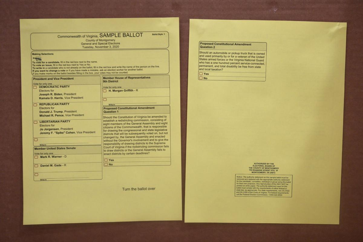 Early Voters In Region Say It Should Continue Local News Roanoke Com