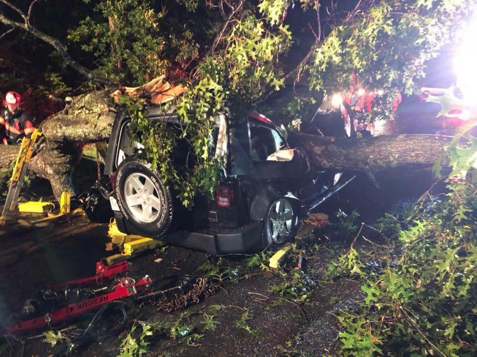 Family injured after oak tree falls on SUV in Bedford County