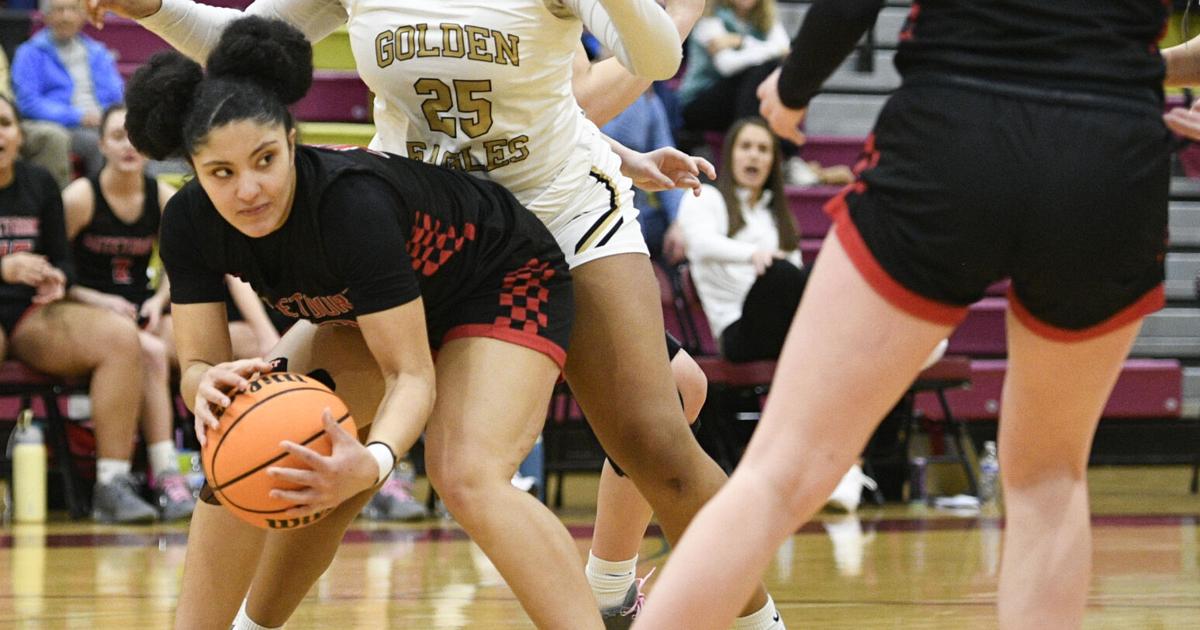 Virginia high school basketball state semifinal pairings