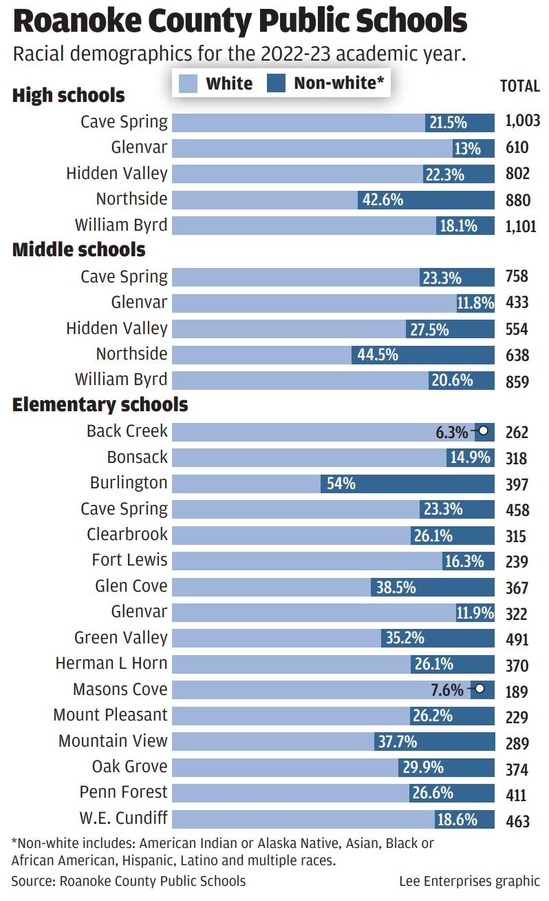 Roanoke County school system scraps equity position