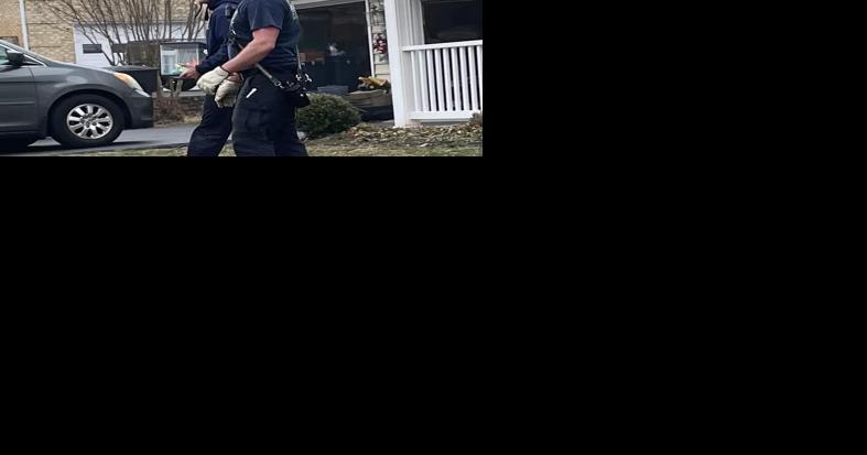 Hermit crab rescued from Roanoke County house fire - Vimarsana News