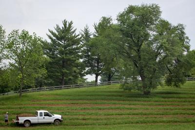 Roanoke Co-op's farm dedication Saturday