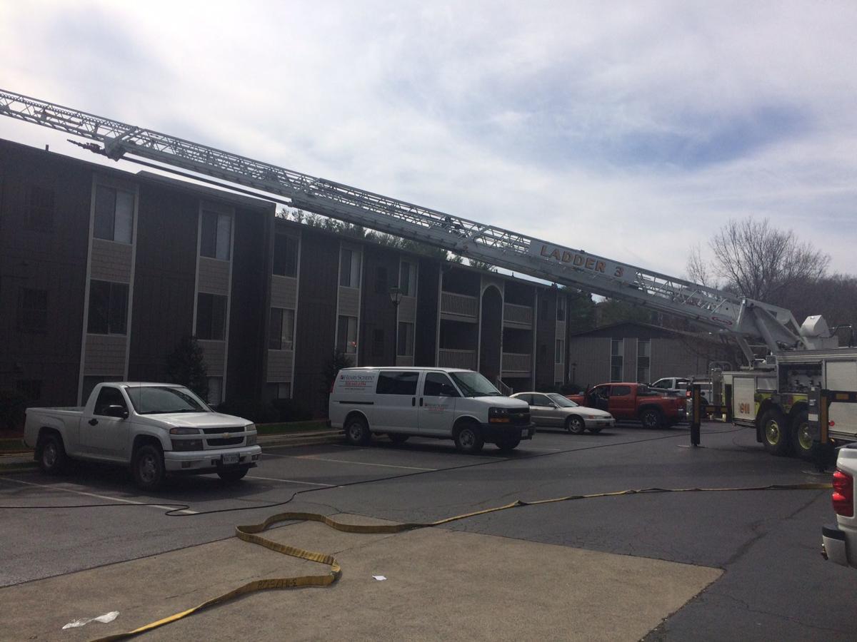 3 cats found dead in Roanoke County apartment fire Local