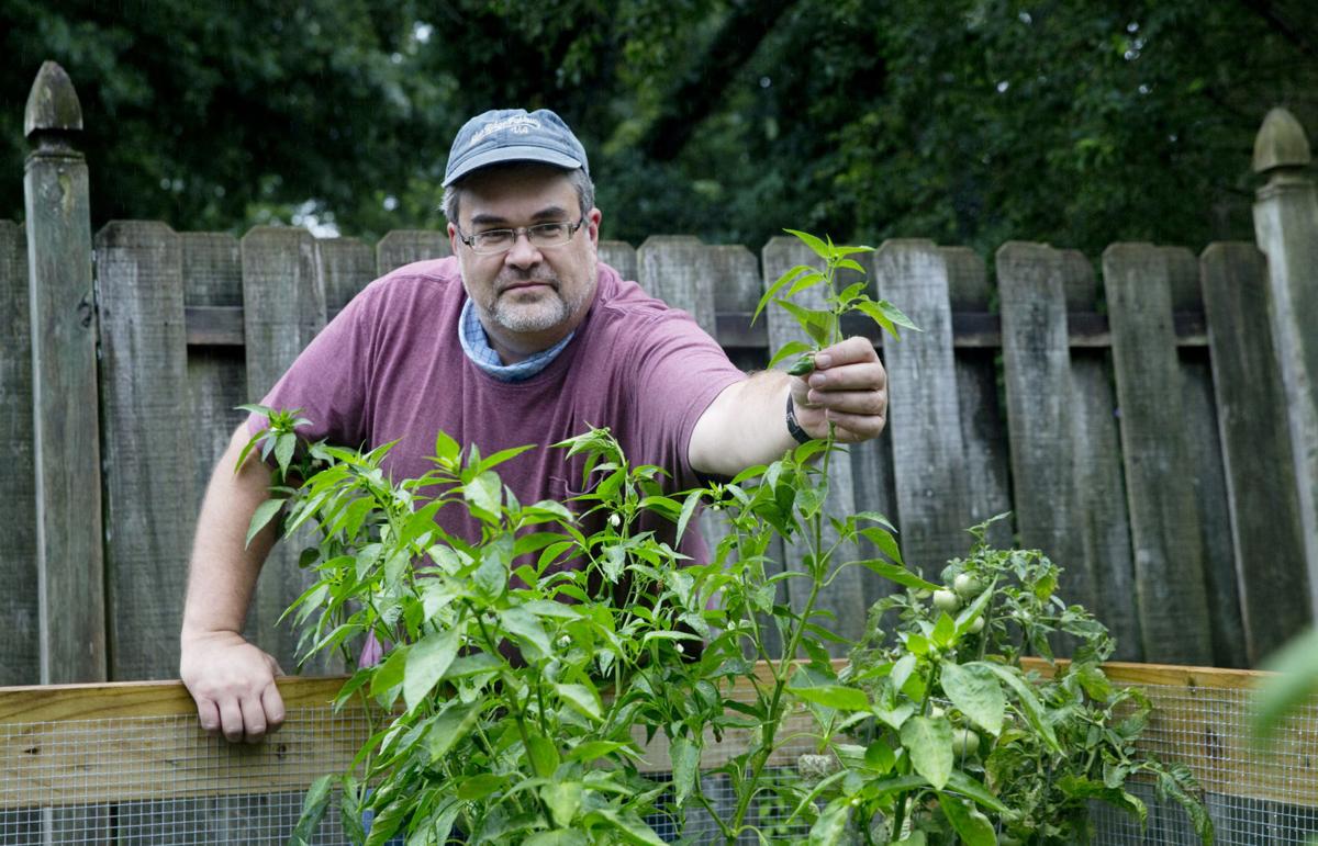 Extend Your Gardening Season With Cool Weather Plants Entertainment Roanoke Com