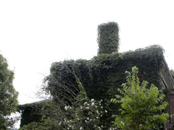 Neighborhood Preservationists Want To Save Crumbling Riverdale Estate Local News Roanoke Com
