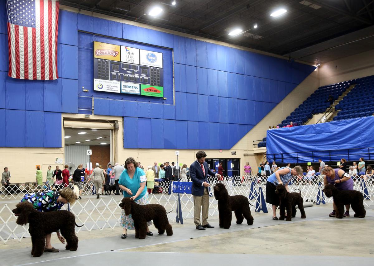 Mountain Valley Cluster Dog Show