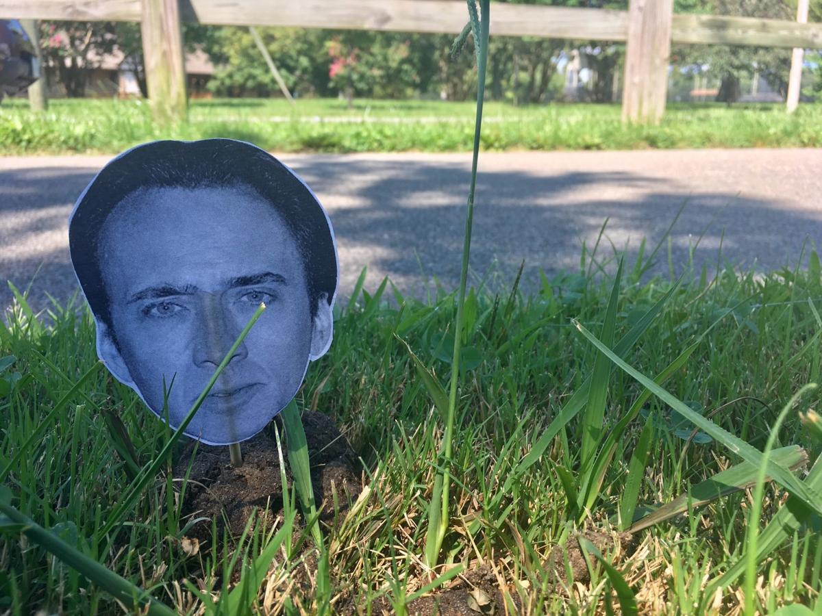 Meet Nicolas Cage The Unwitting Face Of Roanoke S Covert Anti Poo Sign Chittum 2 Jpg