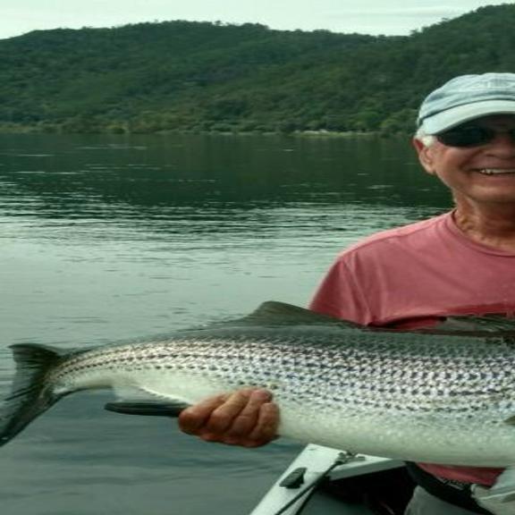 Watts Bar Lake Fishing Report Unique Fish Photo
