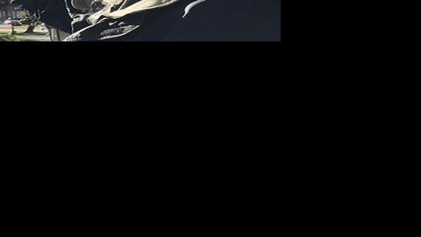 Local | rochsent.com