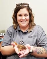 Meet Fulton County’s new animal control officer
