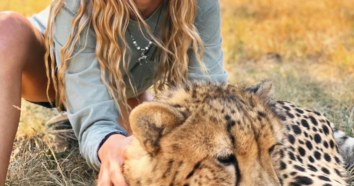 Local student Emily Kimpling learns vet skills helping cheetahs in South  Africa | Features 