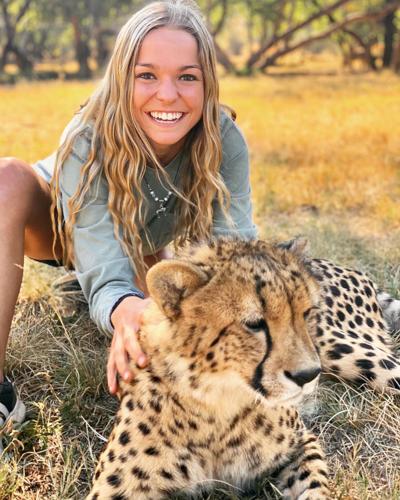 Local student Emily Kimpling learns vet skills helping cheetahs in South  Africa | Features 