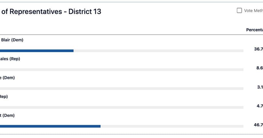 House District 13 special election race headed to runoff