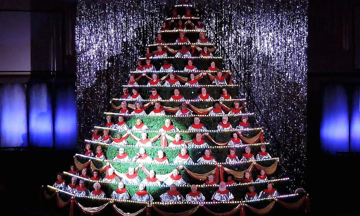 the last living christmas tree rockdale the last living christmas tree rockdale