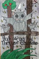 Statewide winners announced in Give Wildlife a Chance Poster Contest