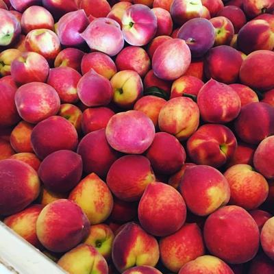 peaches georgia fresh where pearson farm rockdalenewtoncitizen picket fort valley