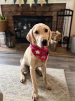 PHOTOS: Take a look at these pets from the Rockdale and Newton County community