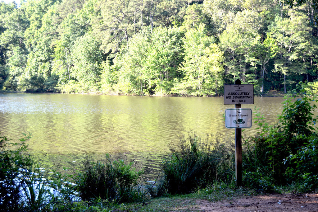 Turner Lake fishermen requesting park maintenance Local News
