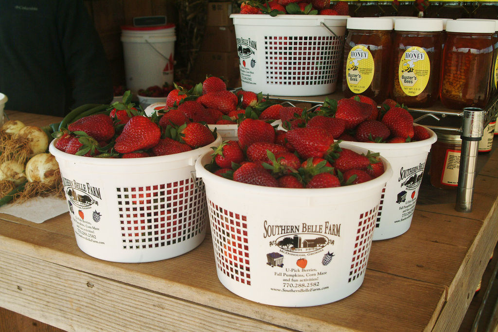 Mitcham Farm in Oxford, Southern Belle Farm in McDonough offer upick