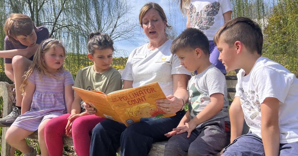 Community science counts: Census meets storytelling | News ...